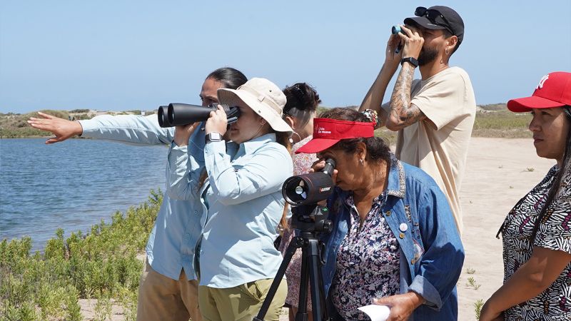 Fundación Astros del Desierto promueve conservación en Humedal Río Copiapó