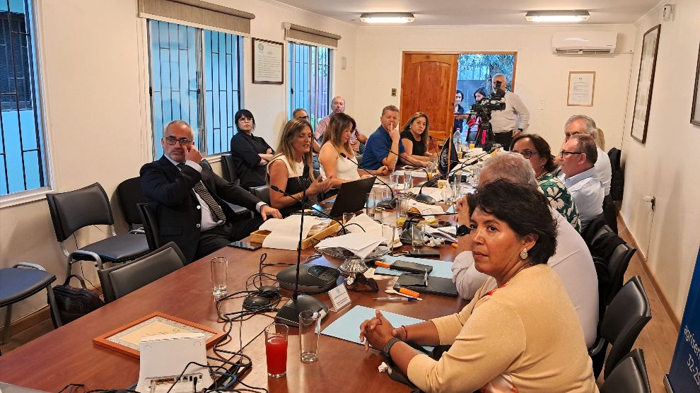 Directora de ProChile Atacama expone ante Senado